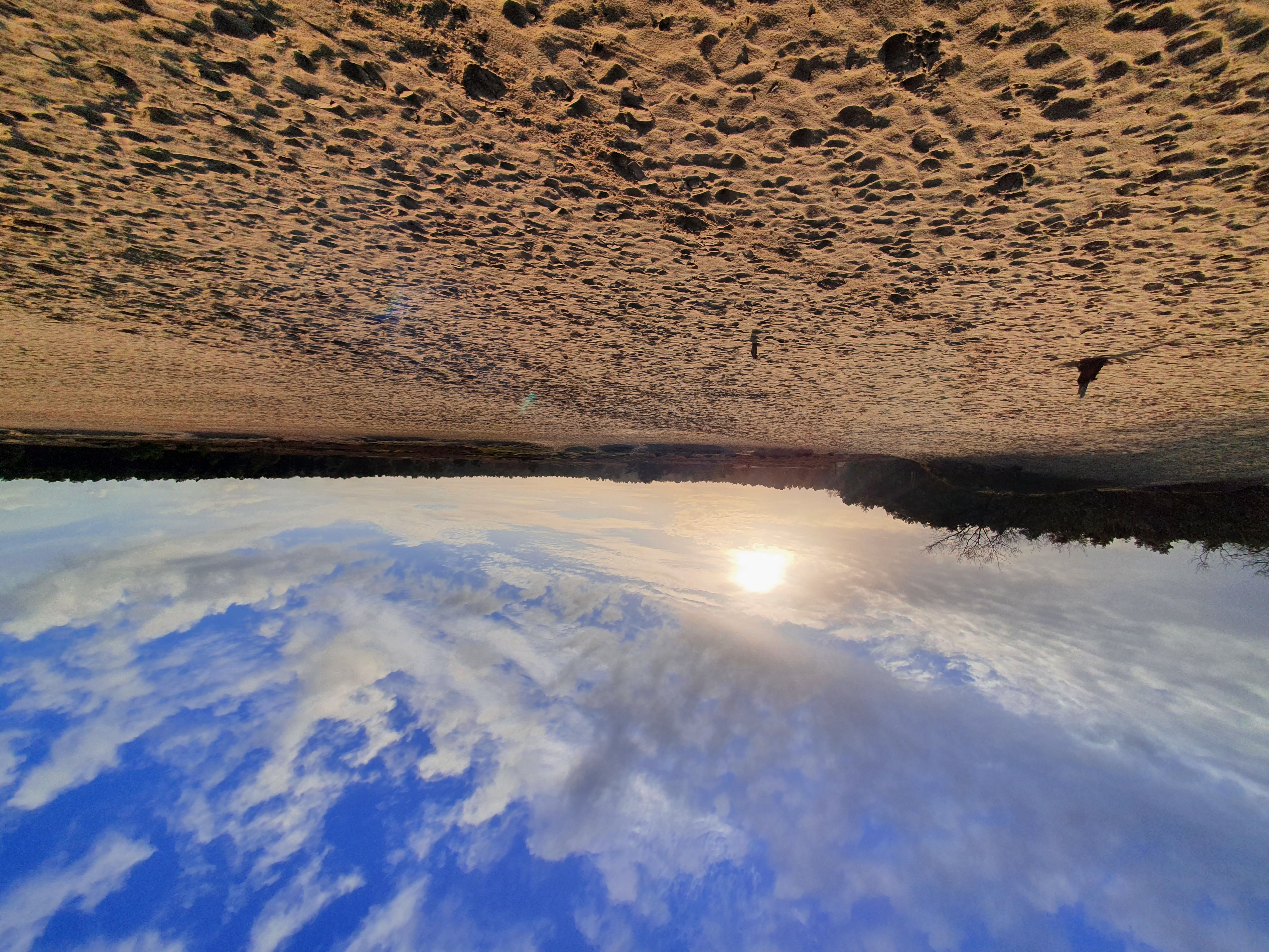 20210204 155753 (003)